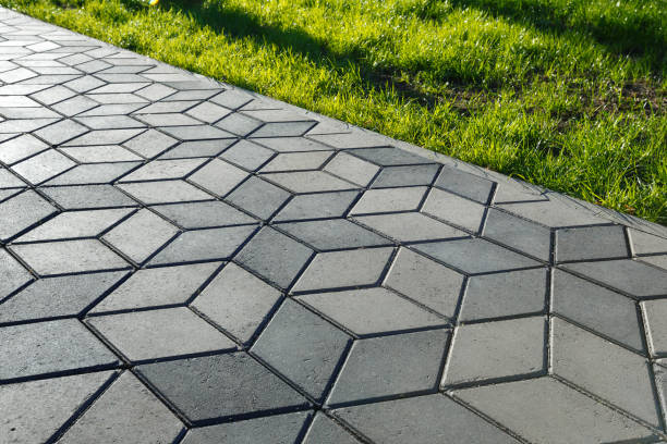 Best Local Driveway Pavers  in Wells, MN