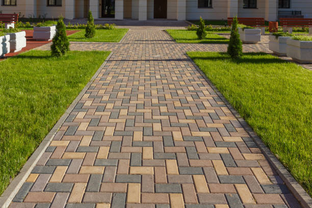Best Driveway Paving Company  in Wells, MN